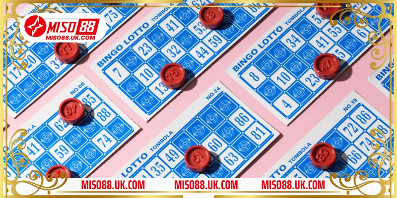 Dàn đề nuôi 2 ngày